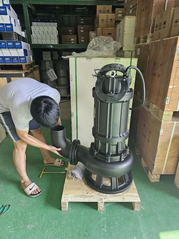 Bơm chìm nước thải được kéo lên để bảo dưỡng